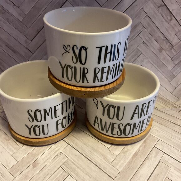 Ceramic Succulent Planters With Bamboo Bases Set Of Three New - Picture 2 of 3